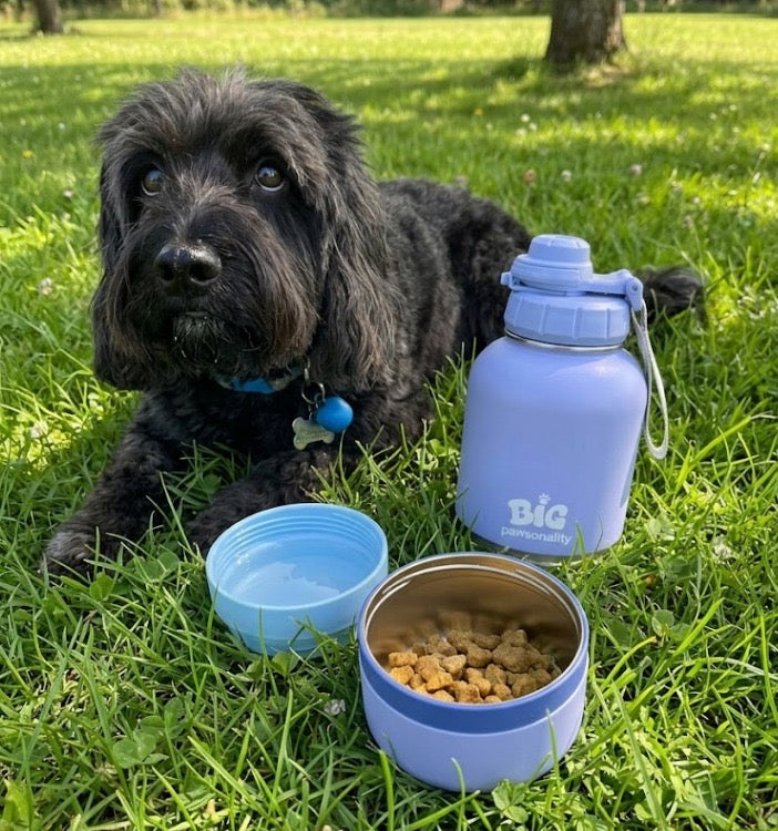 Pastel Blue 3-in-1 Travel Dog Water Bottle & Feeder