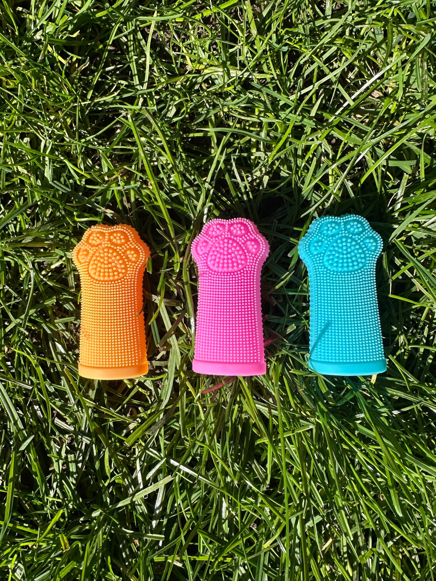 Bright Pink Dog Paw Finger Toothbrush