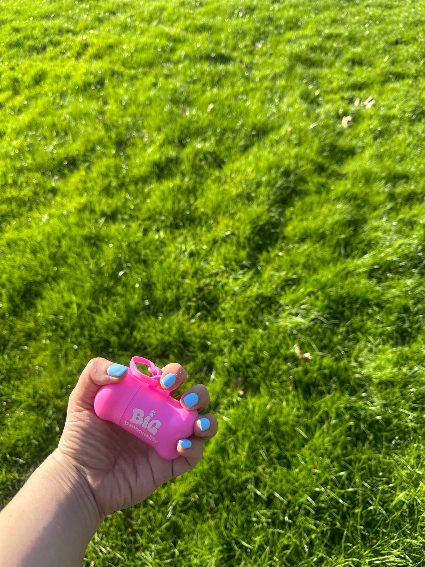 Bright Pink Dog Poo Bag Holder and Bag Roll