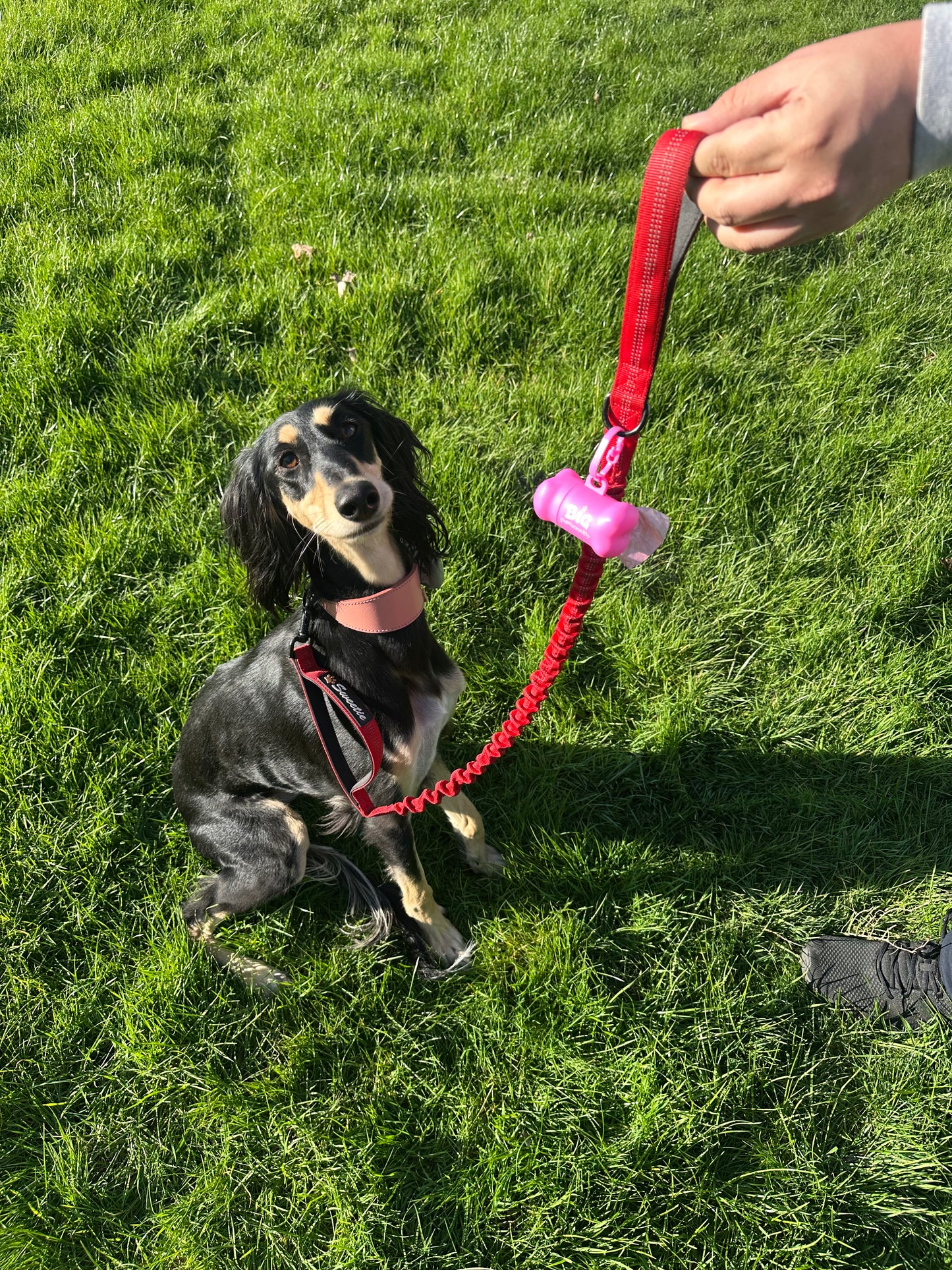 Bright Pink Dog Poo Bag Holder and Bag Roll