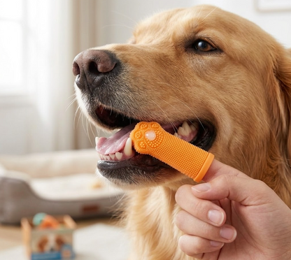 Bright Orange Dog Paw Finger Toothbrush